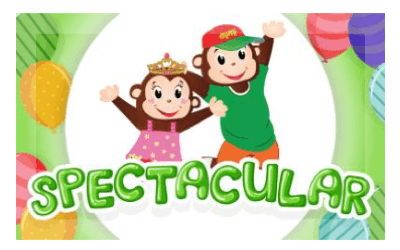 Spectacular party package